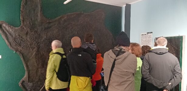 VISITA GUIDATA AL MUSEO DEI FOSSILI