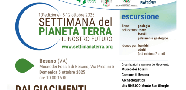 DAI GIACIMENTI AL MUSEO DI BESANO