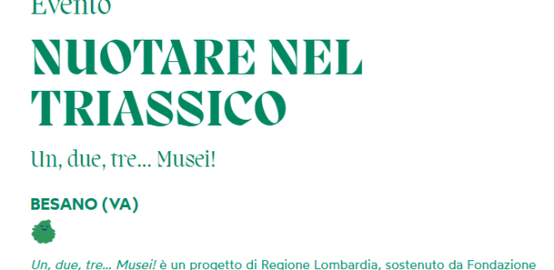 NUOTARE NEL TRIASSICO
